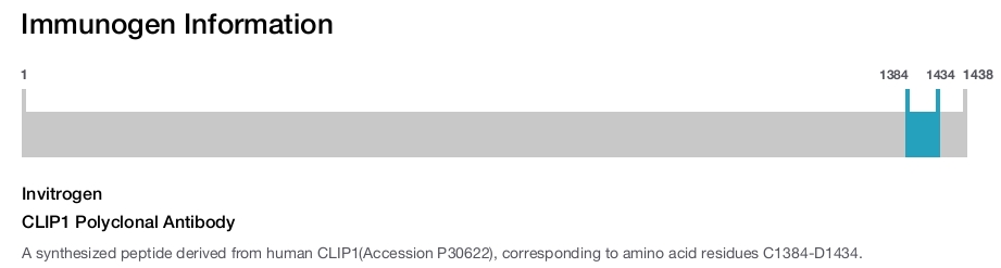 CLIP1 Polyclonal Antibody
