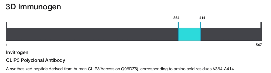 CLIP3 Polyclonal Antibody