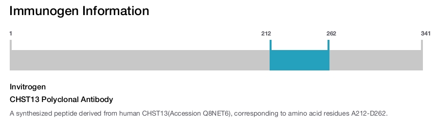 CHST13 Polyclonal Antibody