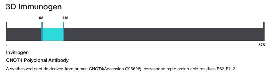 CNOT4 Polyclonal Antibody