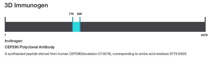 CEP290 Polyclonal Antibody
