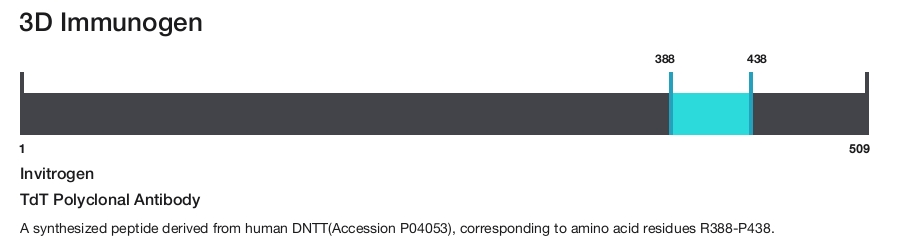 TdT Polyclonal Antibody