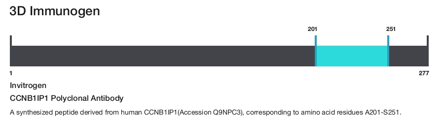 CCNB1IP1 Polyclonal Antibody