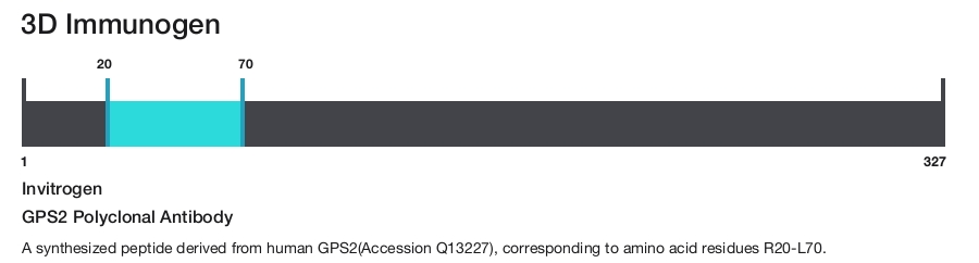 GPS2 Polyclonal Antibody