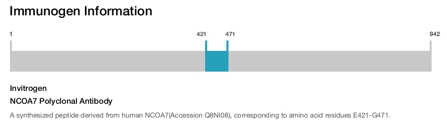 NCOA7 Polyclonal Antibody