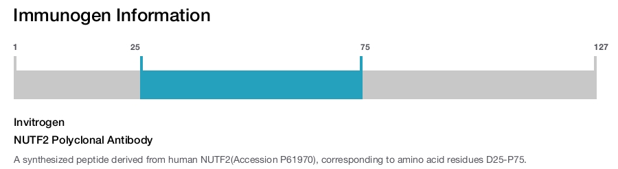 NUTF2 Polyclonal Antibody