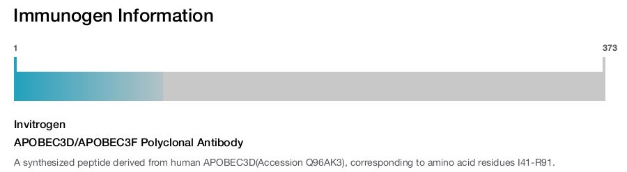 APOBEC3D/APOBEC3F Polyclonal Antibody