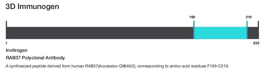 RAB37 Polyclonal Antibody