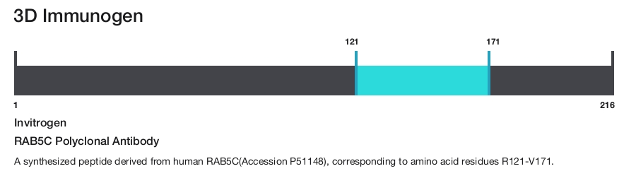 RAB5C Polyclonal Antibody