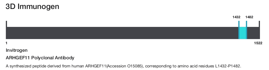 ARHGEF11 Polyclonal Antibody