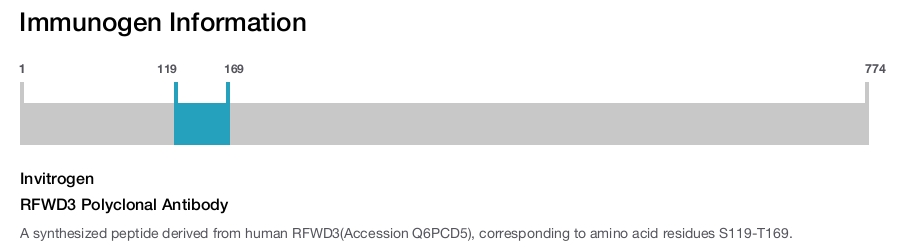 RFWD3 Polyclonal Antibody