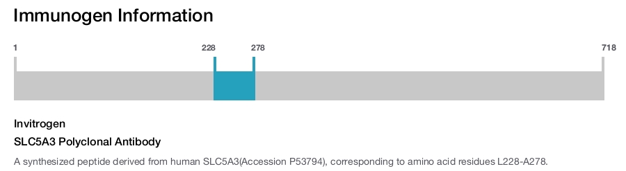 SLC5A3 Polyclonal Antibody