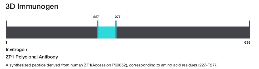 ZP1 Polyclonal Antibody