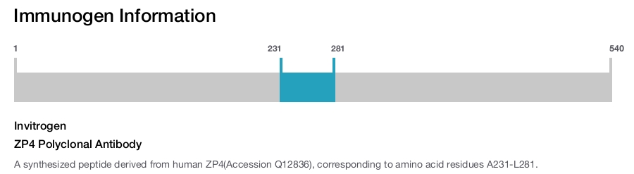 ZP4 Polyclonal Antibody