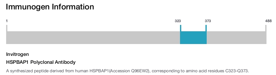 HSPBAP1 Polyclonal Antibody