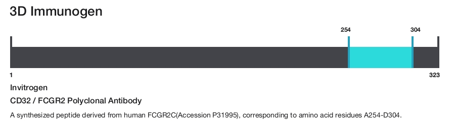 CD32 / FCGR2 Polyclonal Antibody