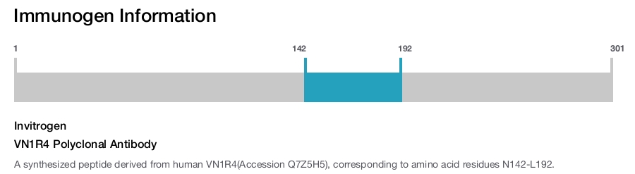 VN1R4 Polyclonal Antibody