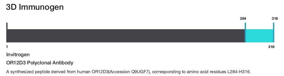 OR12D3 Polyclonal Antibody