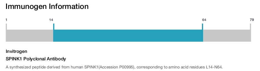 SPINK1 Polyclonal Antibody