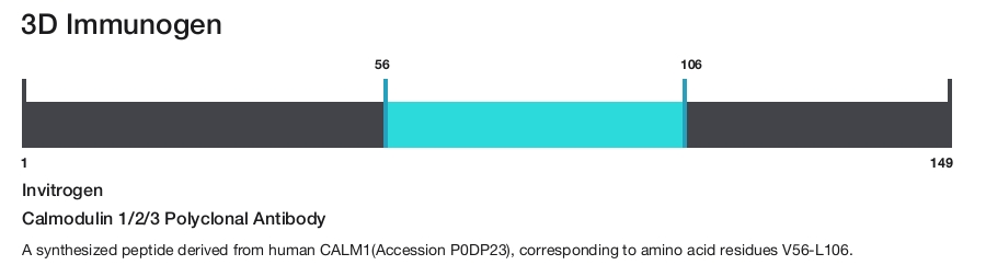 Calmodulin 1/2/3 Polyclonal Antibody