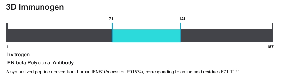 IFN beta Polyclonal Antibody