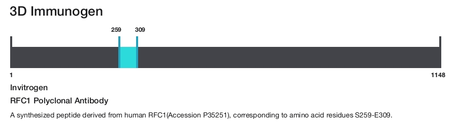 RFC1 Polyclonal Antibody