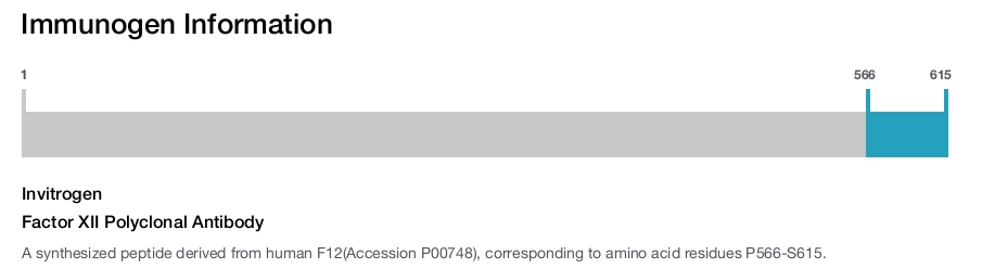 Factor XII Polyclonal Antibody