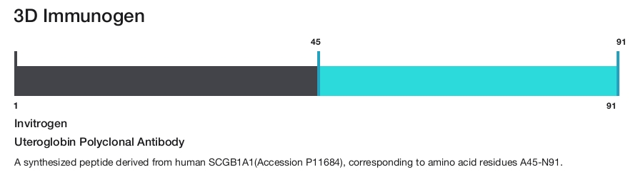 Uteroglobin Polyclonal Antibody
