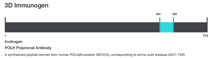 POLH Polyclonal Antibody
