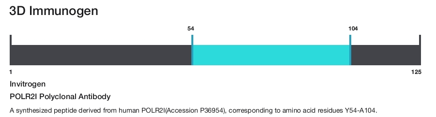 POLR2I Polyclonal Antibody