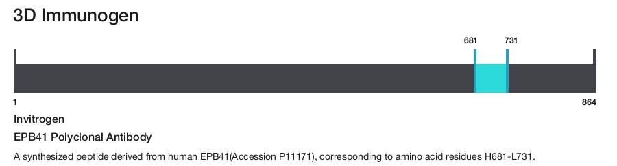 EPB41 Polyclonal Antibody