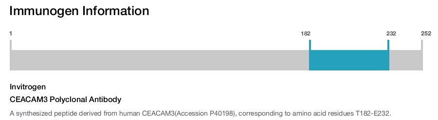 CEACAM3 Polyclonal Antibody