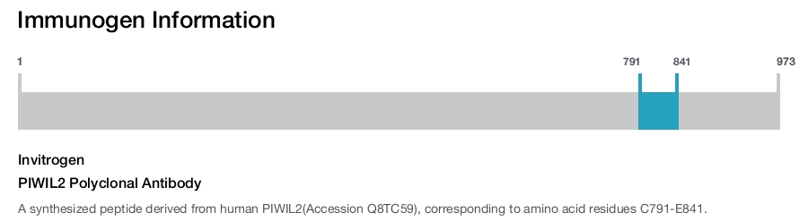 PIWIL2 Polyclonal Antibody
