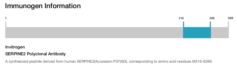 SERPINE2 Polyclonal Antibody