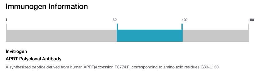APRT Polyclonal Antibody