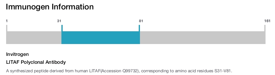 LITAF Polyclonal Antibody