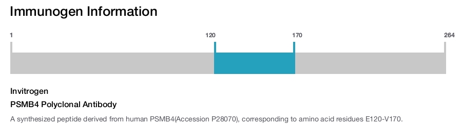 PSMB4 Polyclonal Antibody