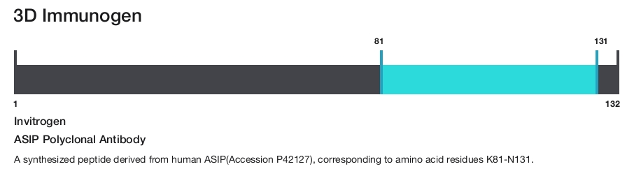 ASIP Polyclonal Antibody