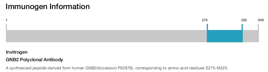 GNB2 Polyclonal Antibody