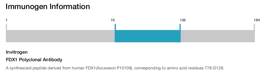FDX1 Polyclonal Antibody