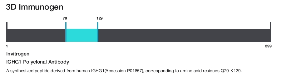 IGHG1 Polyclonal Antibody