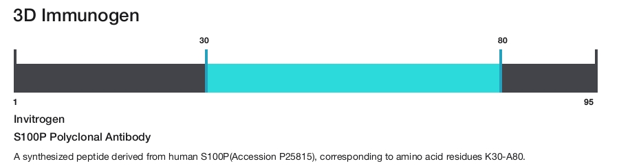 S100P Polyclonal Antibody
