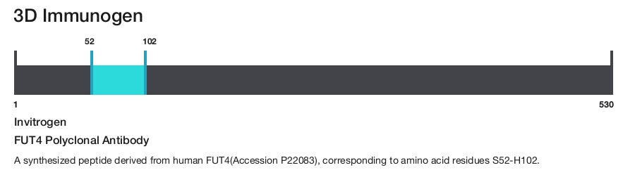 FUT4 Polyclonal Antibody