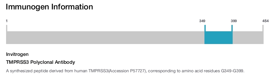 TMPRSS3 Polyclonal Antibody