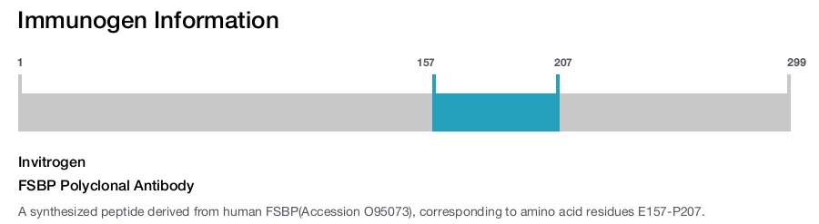 FSBP Polyclonal Antibody