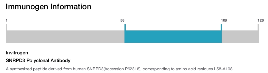 SNRPD3 Polyclonal Antibody