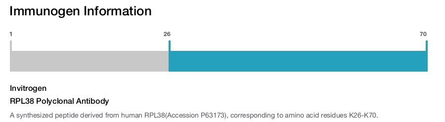 RPL38 Polyclonal Antibody