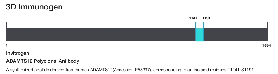 ADAMTS12 Polyclonal Antibody