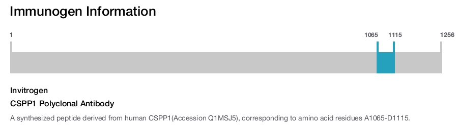 CSPP1 Polyclonal Antibody
