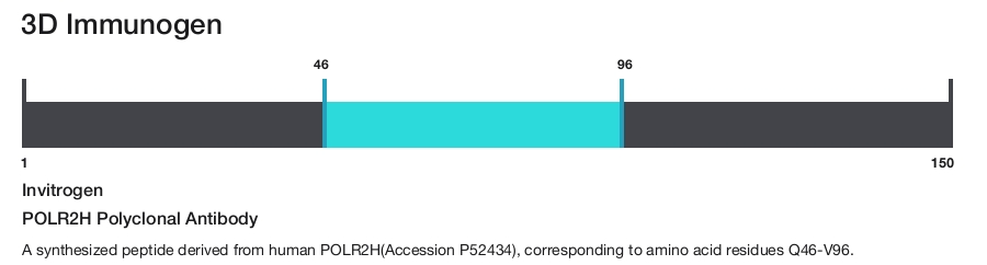 POLR2H Polyclonal Antibody